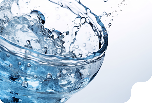 Inaedificata scintillans aquae dispensatores: Emptor Libri